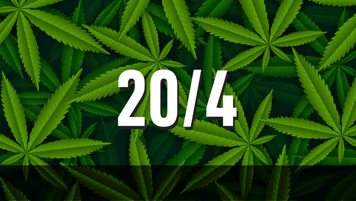 Ciclul de lumină 20/4 pentru planta de canabis Ciclul de lumină 20/4 pentru planta de canabis