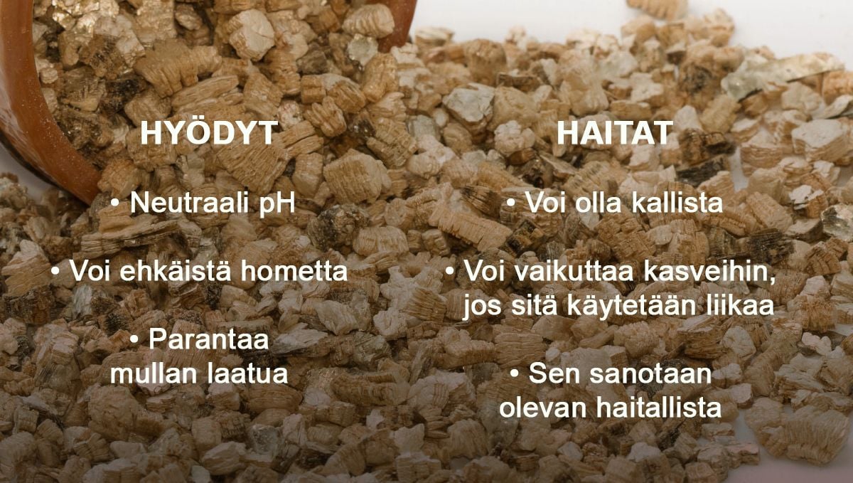 Hyödyt ja haitat vermikuliitin lisäämisestä multaan