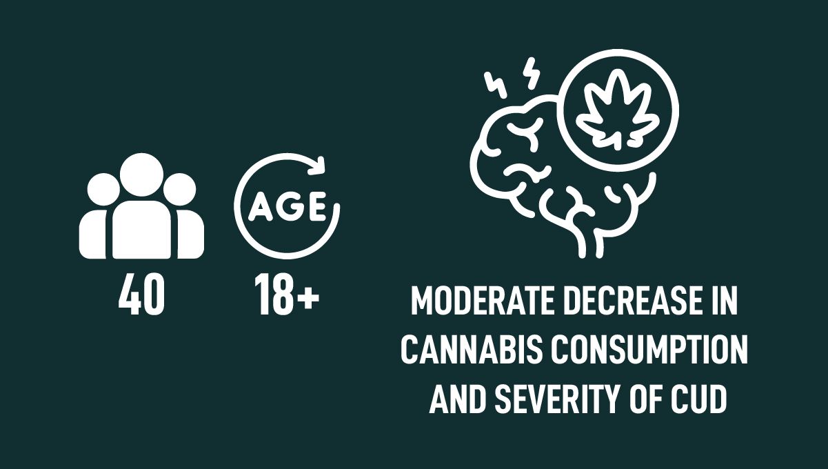 Virtual Reality Highs: The Interplay Between Cannabis Use and VR Experiences