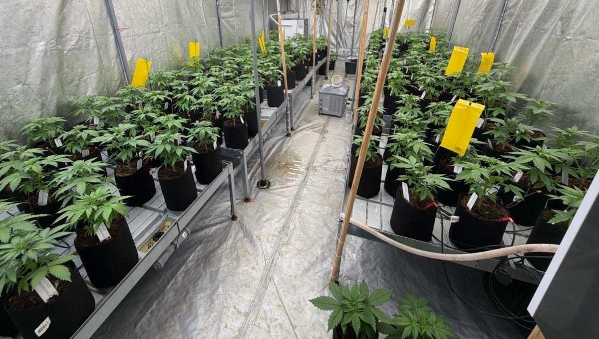 cov15.jpg Overall View at This Stage