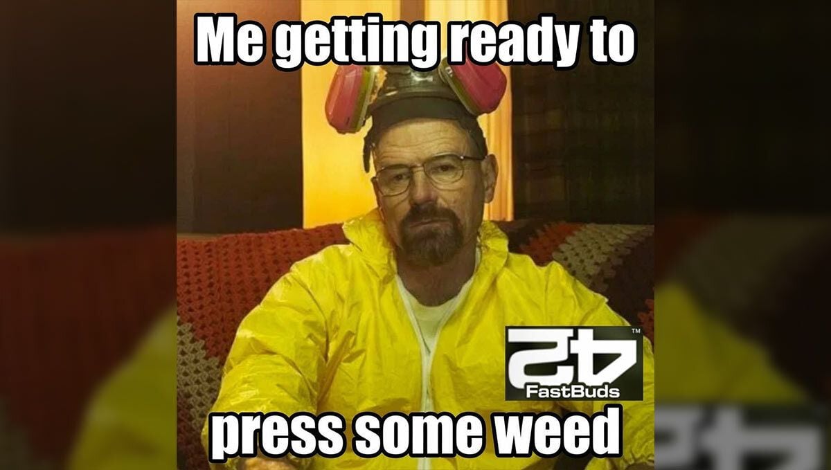 291.jpg Fast Buds Meme Breaking Bad