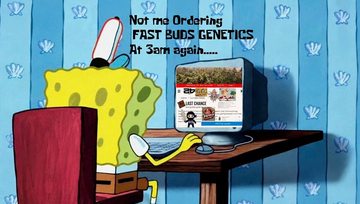 289.jpg Fast Buds Meme Spongebob