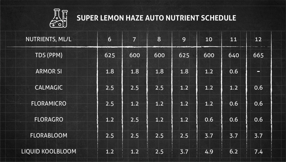 Super Lemon Haze Auto cannabis strain: feeding chart for the flowering stage