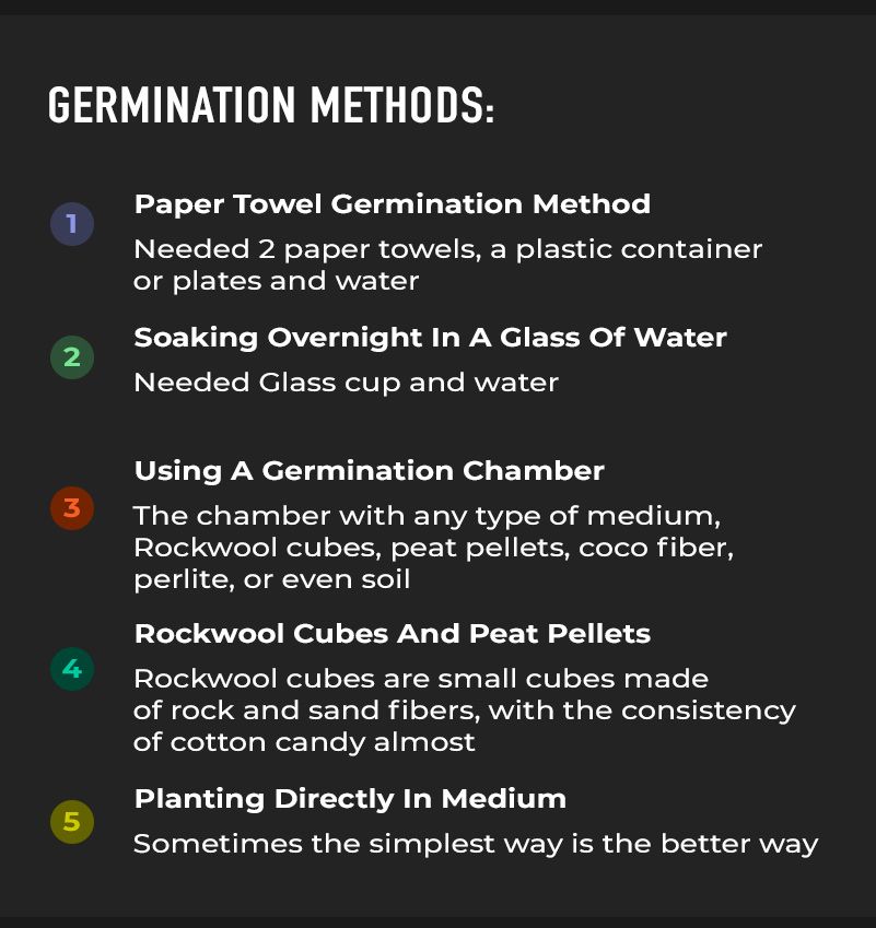 Cinco métodos de germinación para las autoflorecientes
