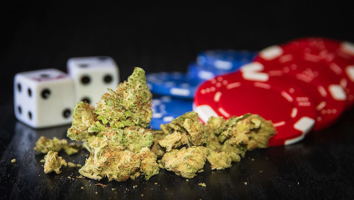 Weed in nevada: history and politics