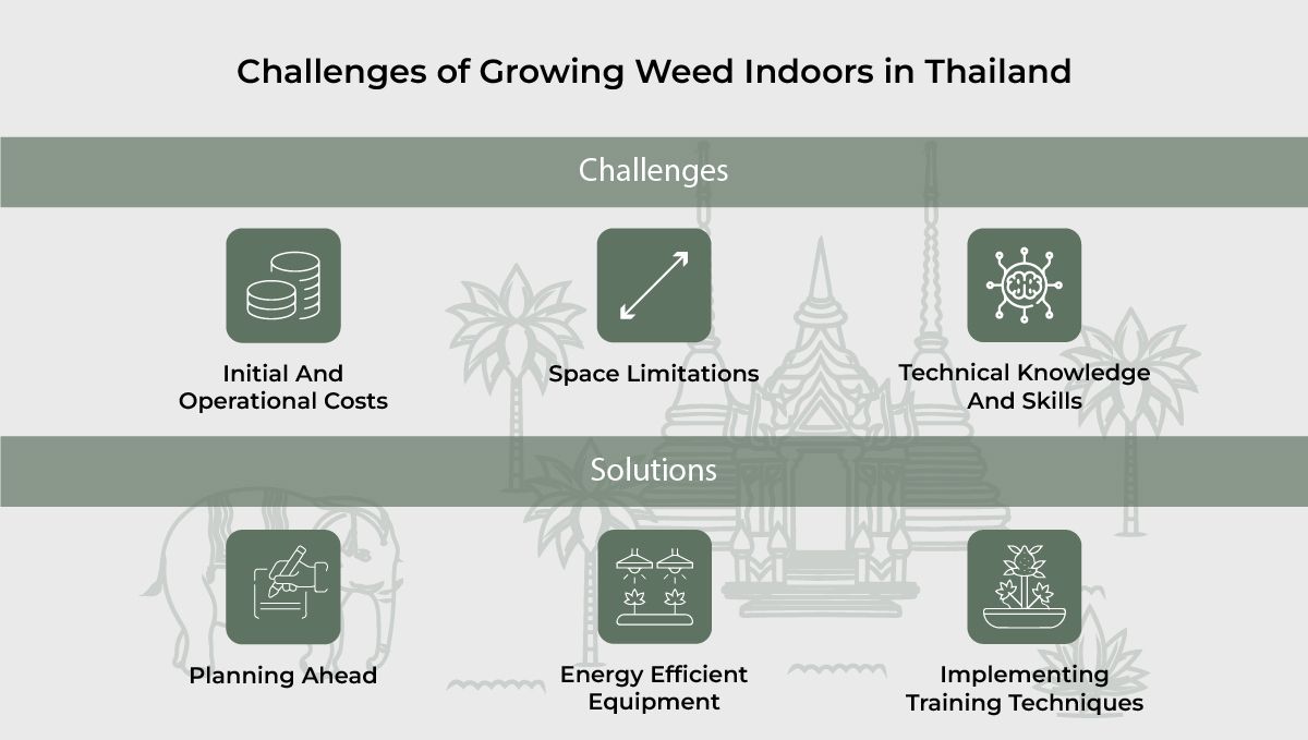 Challenges of growing weed Indoors in Thailand.