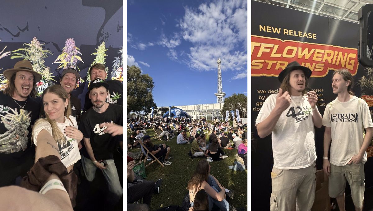 náš tým na Mary Jane 2024