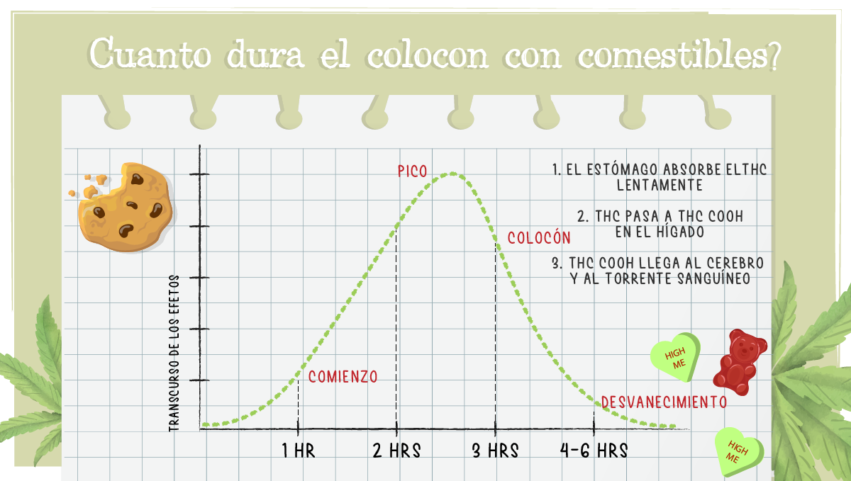 Cuanto dura el colocón de cannabis?: comestibles. Cuanto dura el colocón de cannabis?: comestibles.