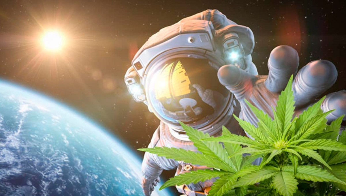 international space station weed