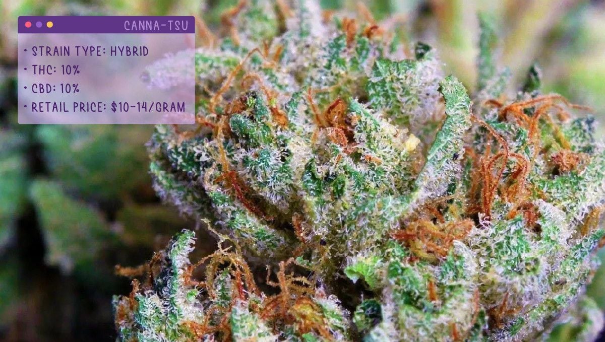 Best Weed Strains For Anxiety | Fast Buds