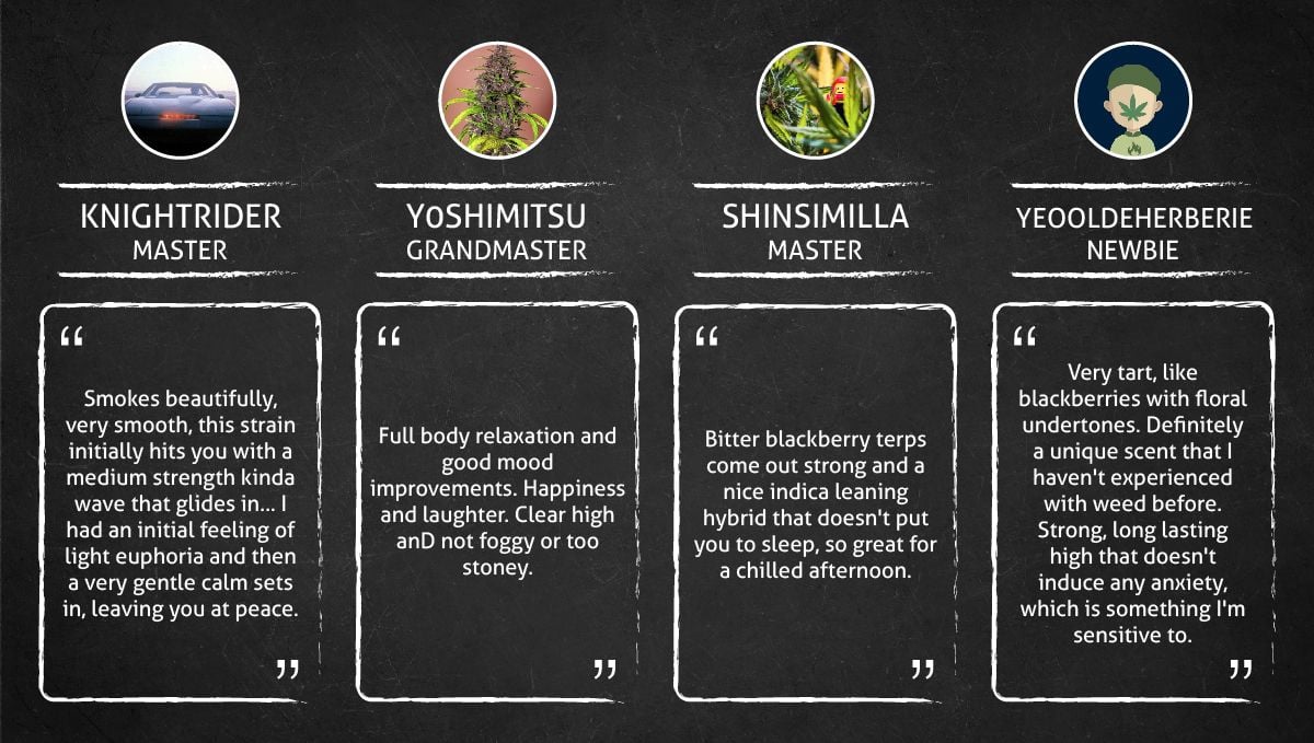 Blackberry Auto cannabis strain: smoke report Blackberry Auto cannabis strain: smoke report