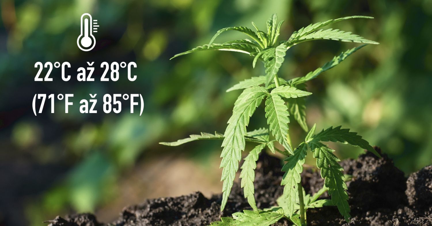 9 chyb, kterých je třeba se vyvarovat: nejlepší teploty