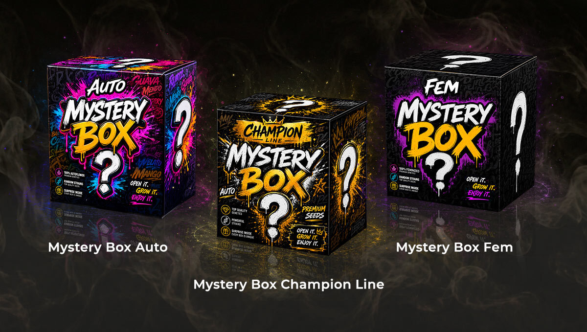 image (13).png mystery boxes