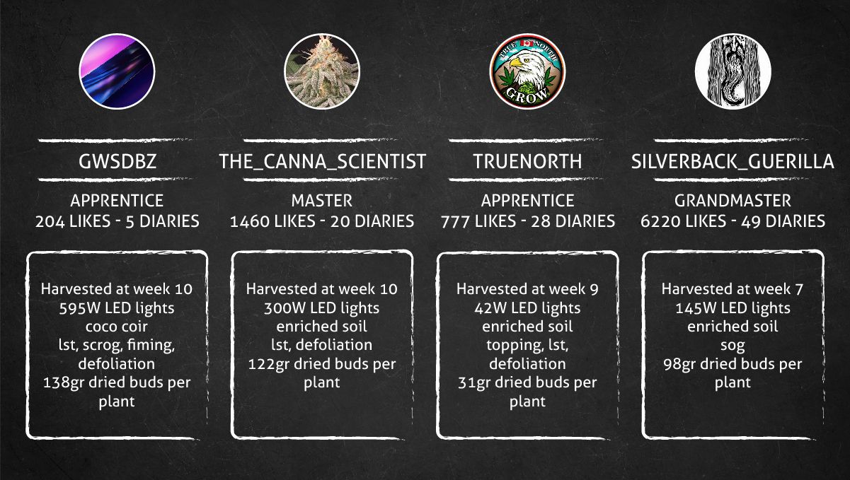 Orange Sherbet Auto Cannabis Strain: outcome table