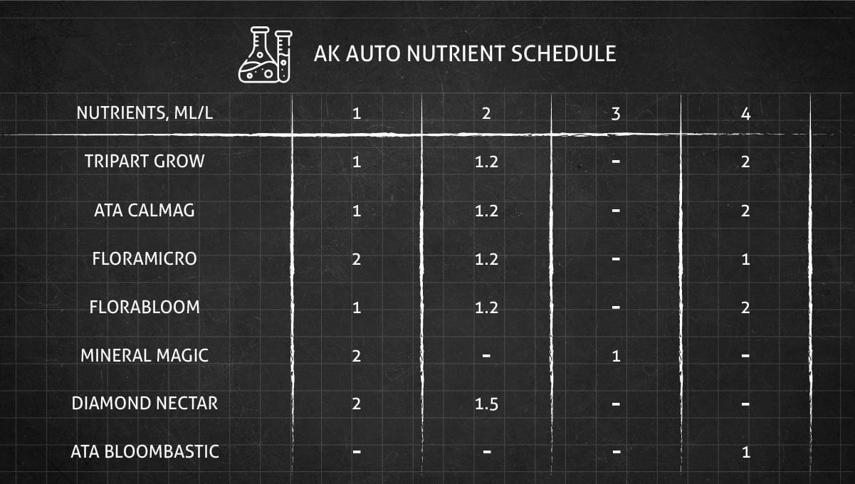 AK Auto cannabis strain: feeding chart for the vegetative stage AK Auto cannabis strain: feeding chart for the vegetative stage