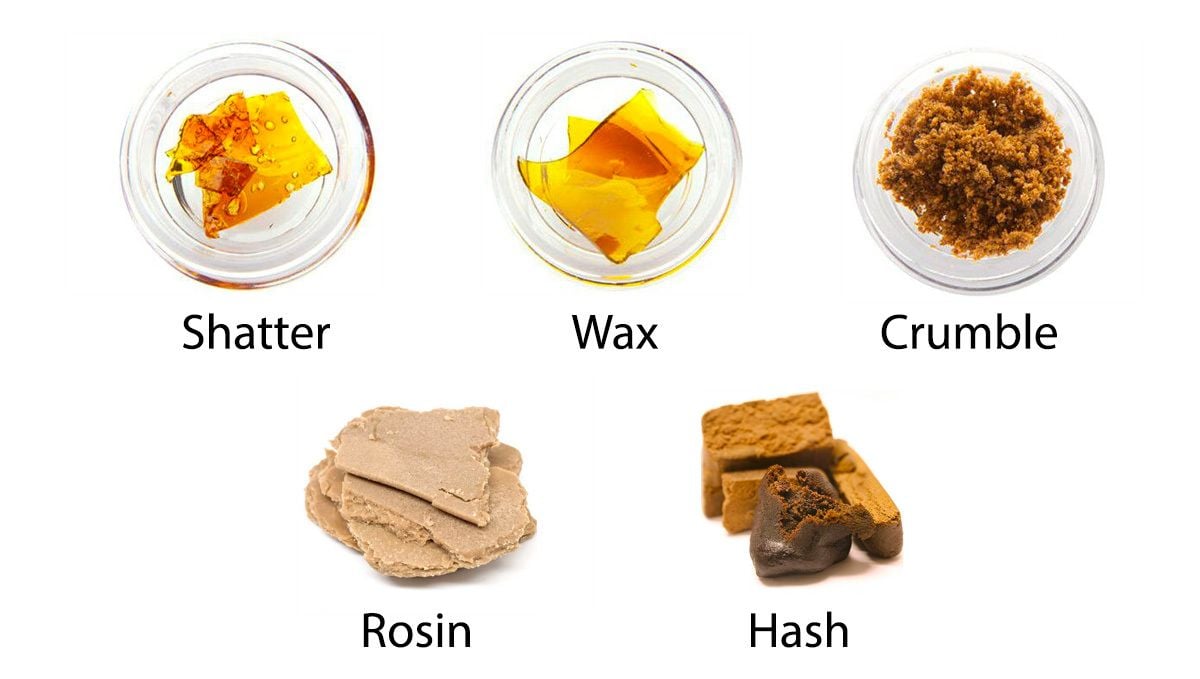 What Are Trichomes And Their Importance | Fast Buds