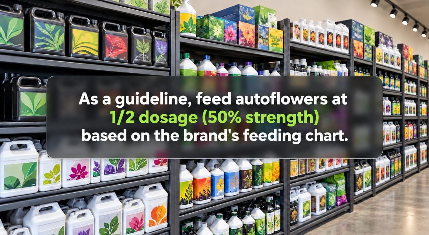 Tout Savoir sur les Autofloraison - besoins en nutrition