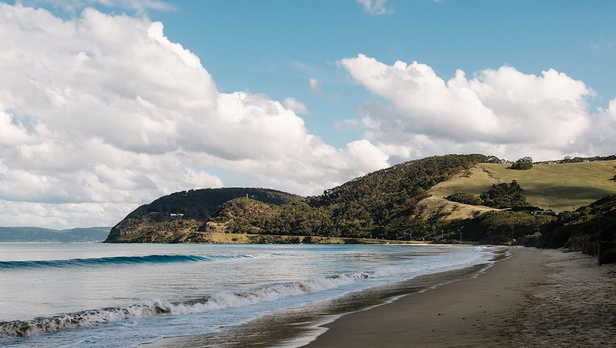 Weed in New Zealand: Cannabis Legal Status Guide: A view of a shoreline