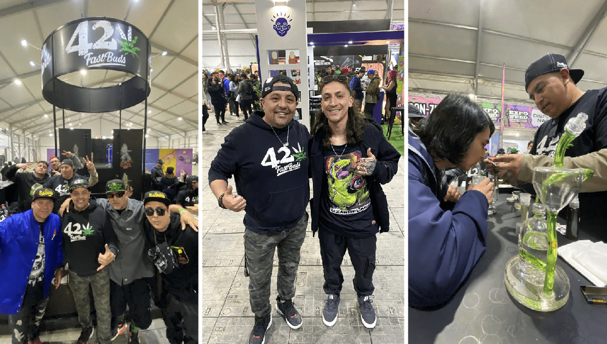 Much More Than an Expo, A Weed Festival