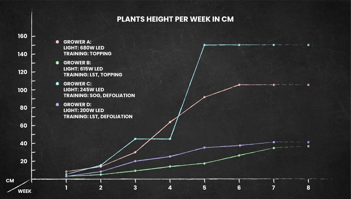 Strawberry Gorilla Auto Cannabissorte: Höhenverlauf über den gesamten Lebenszyklus