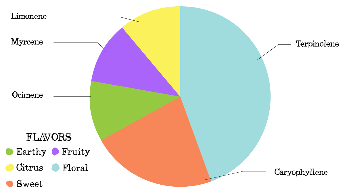 Bruce Banner Auto Cannabis Strain WeekbyWeek Guide Fast Buds