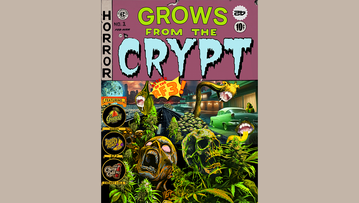 Popeye'ın gücünün sırrının aslında kenevir olduğu vurgulanan bir meme.