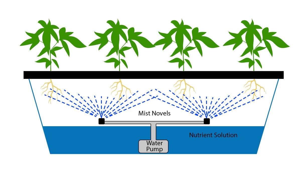 Tempreture at csnopy level what should it be? - THCFarmer