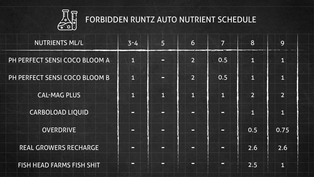 Forbidden Runtz Auto Cannabis Strain Week-by-Week Guide: A complete feeding schedule for weeks 3 through 9