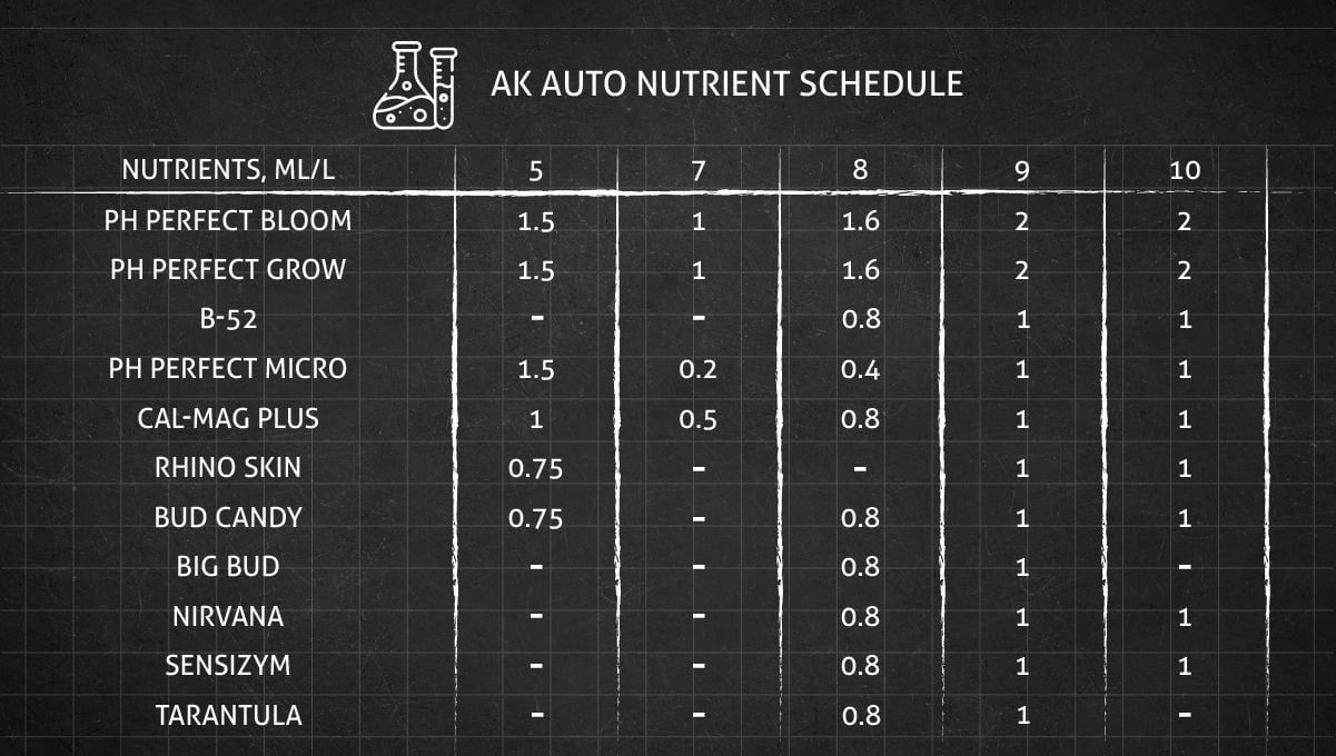 AK Auto cannabis strain: feeding chart for the flowering stage AK Auto cannabis strain: feeding chart for the flowering stage