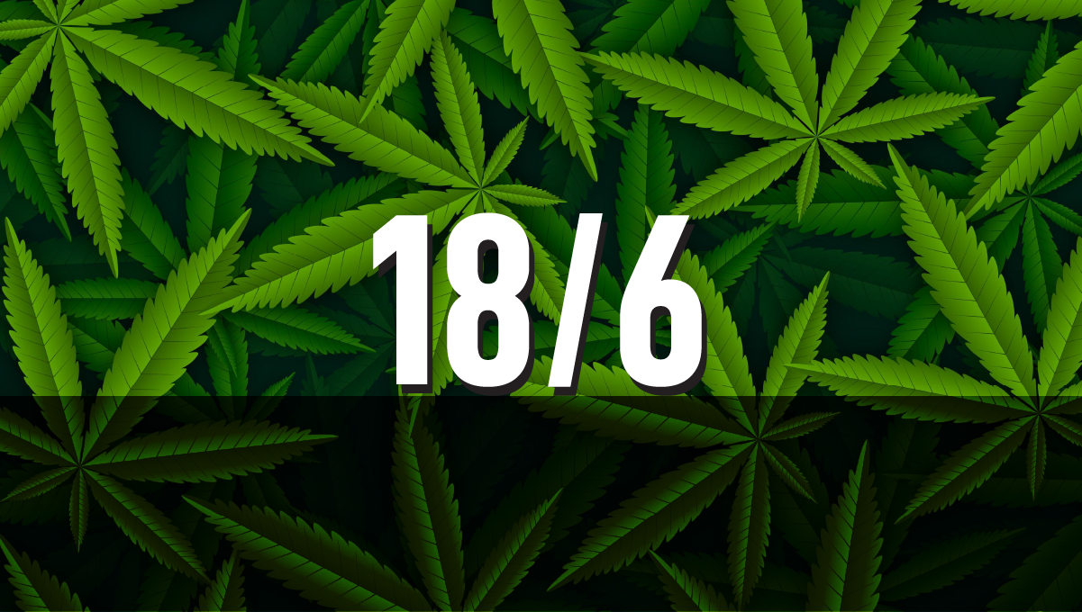 Ciclul de lumină 18/6 pentru planta de canabis Ciclul de lumină 18/6 pentru planta de canabis