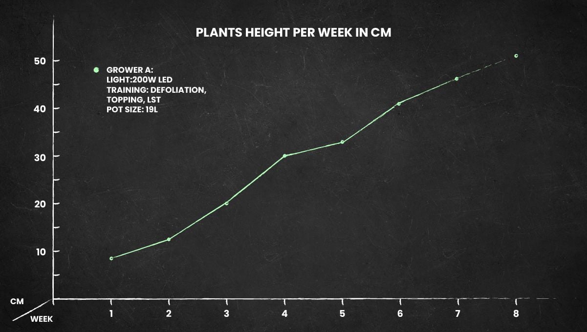 Blue Dream Auto cannabis strain: height chart