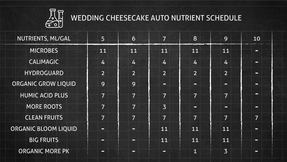 Feeding Solution For The Coco Medium