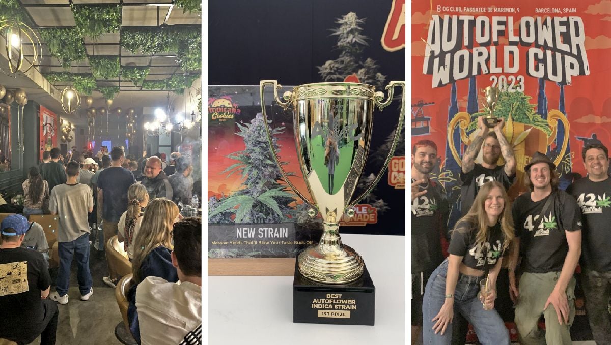 Notre équipe gagne à l'AWC 2023