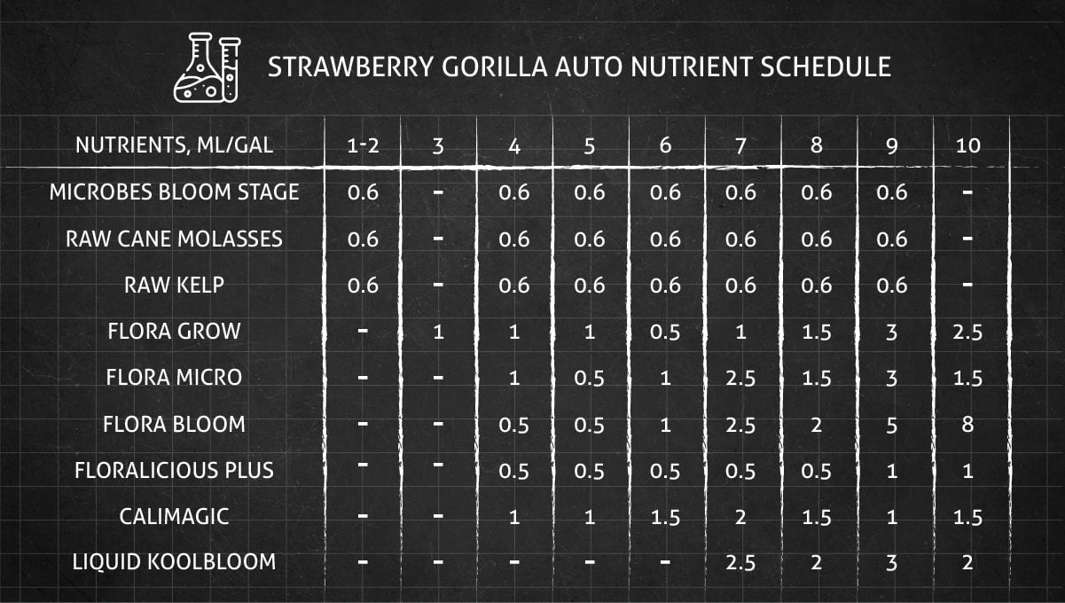 Strawberry Gorilla Auto Cannabissorte: Nährstoffplan