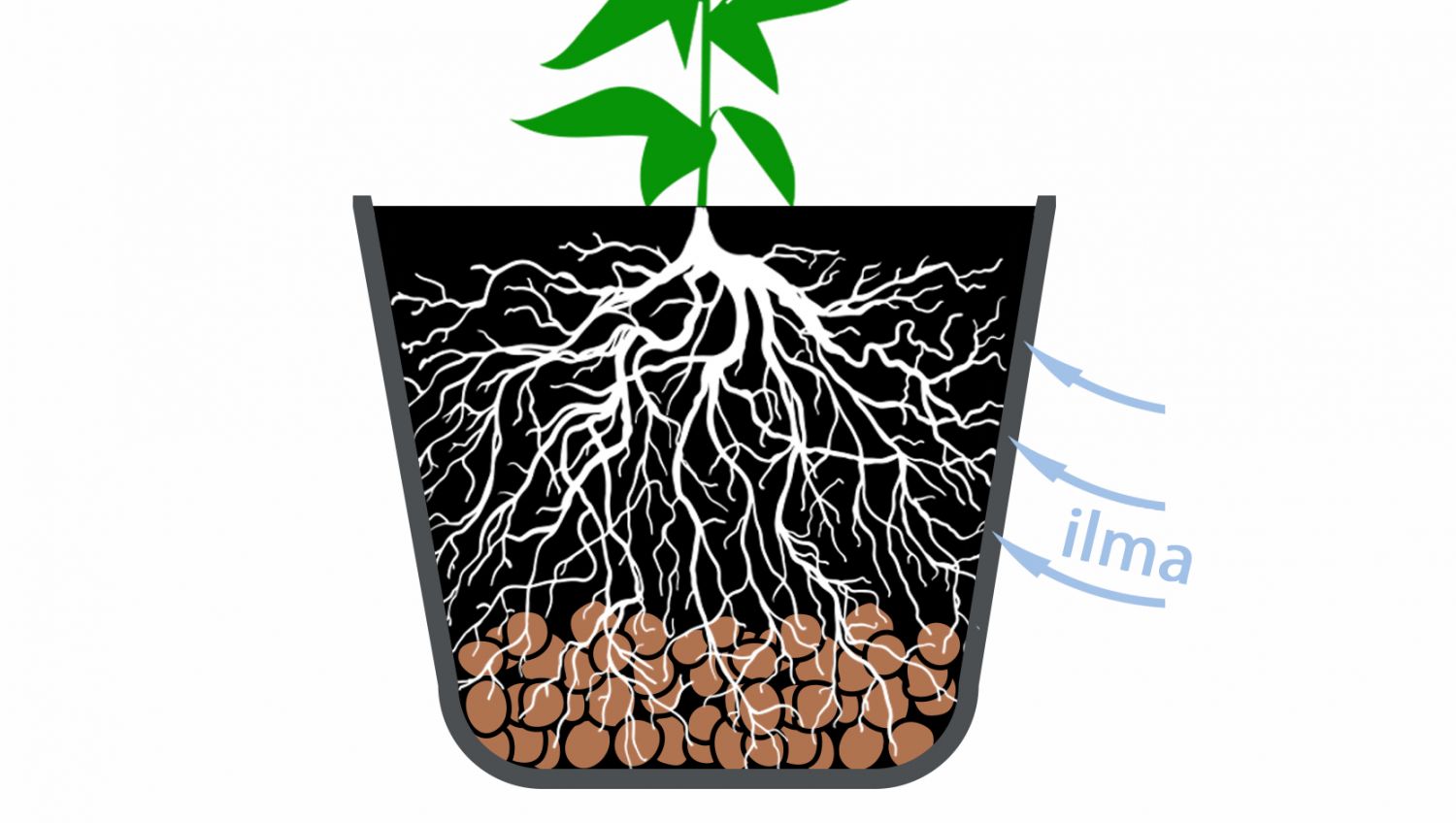 Paras ruukkukoko itsekukkiville: parhaat ruukut