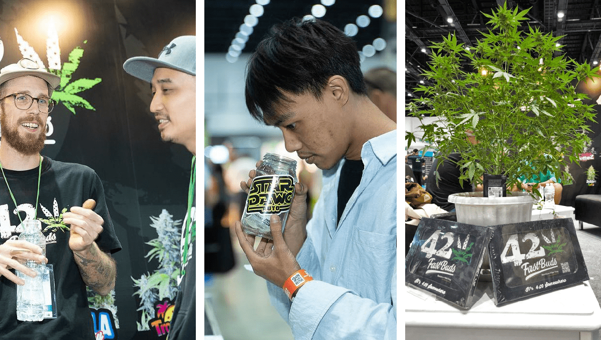 Asia International Hemp Expo: A One-of-a-Kind Experience Asia International Hemp Expo: A One-of-a-Kind Experience