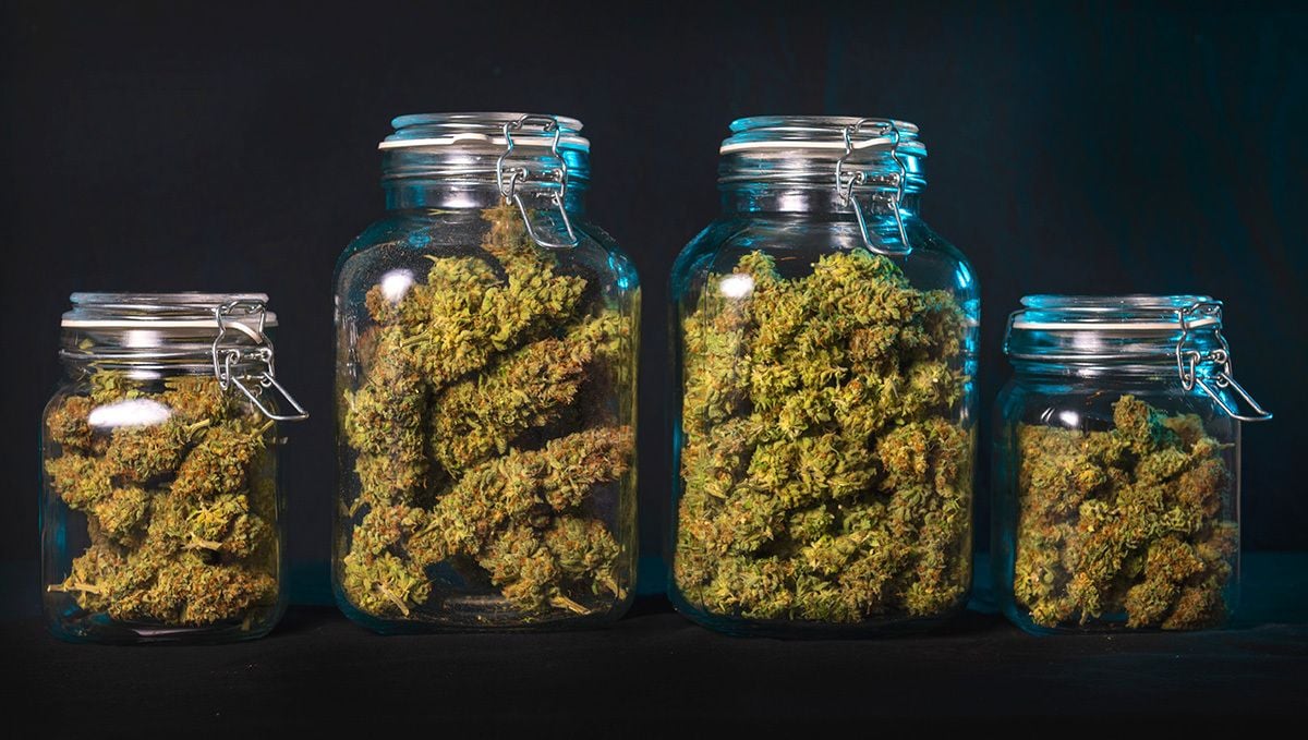 Weed Jars: How to Pick the Perfect Jar for Your Bud