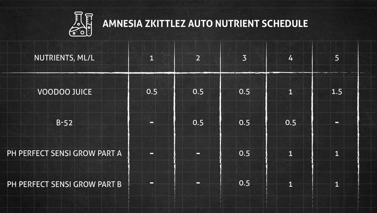 Amnesia Z Auto cannabis strain: veg feeding chart