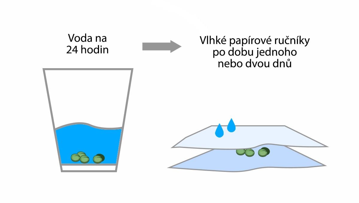 9 chyb, kterých je třeba se vyvarovat: klíčení
