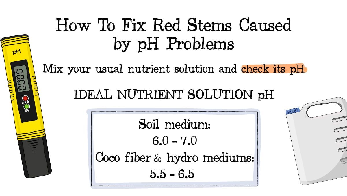 Red and purple cannabis stems: Ph levels Red and purple cannabis stems: Ph levels