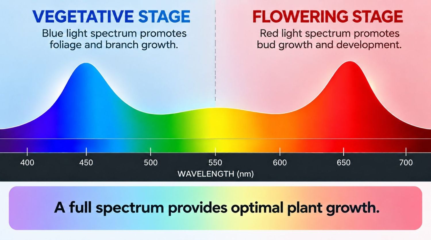 Best light spectrum for autos: light spectrum for each stage