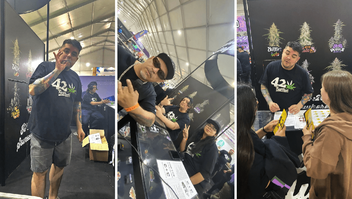 Much More Than an Expo, A Weed Festival