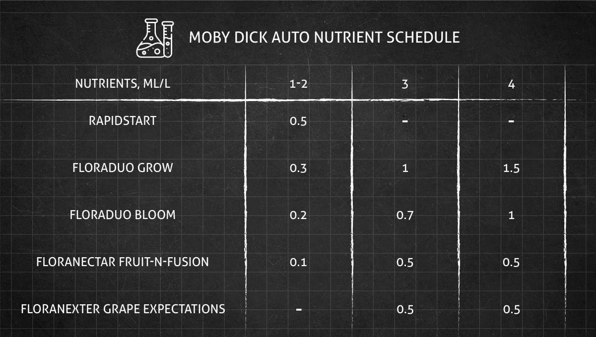Moby Dick cannabis strain: feeding chart for the vegetative stage