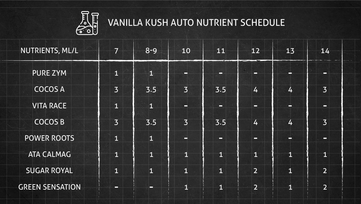 Vanilla Kush cannabis strain: feeding chart for the flowering stage