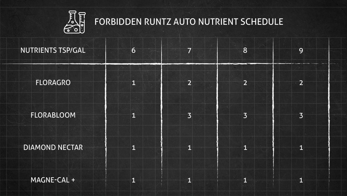 Forbidden Runtz Auto Cannabis Strain Week-by-Week Guide: A very simple GHE feeding schedule for cannabis flowering stages