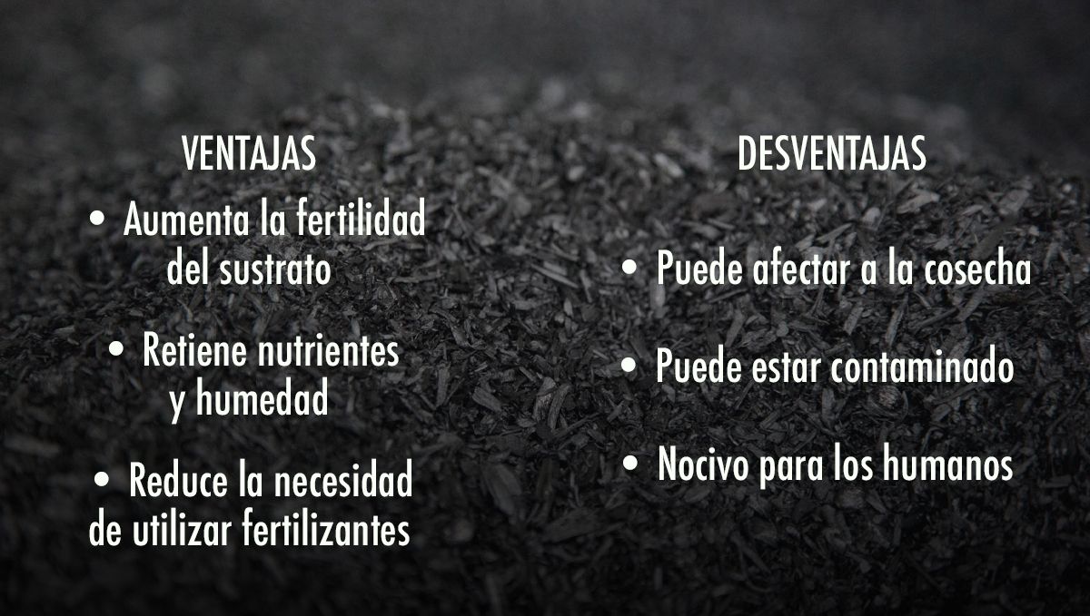 Ventajas y desventajas de añadir biocarbón al sustrato