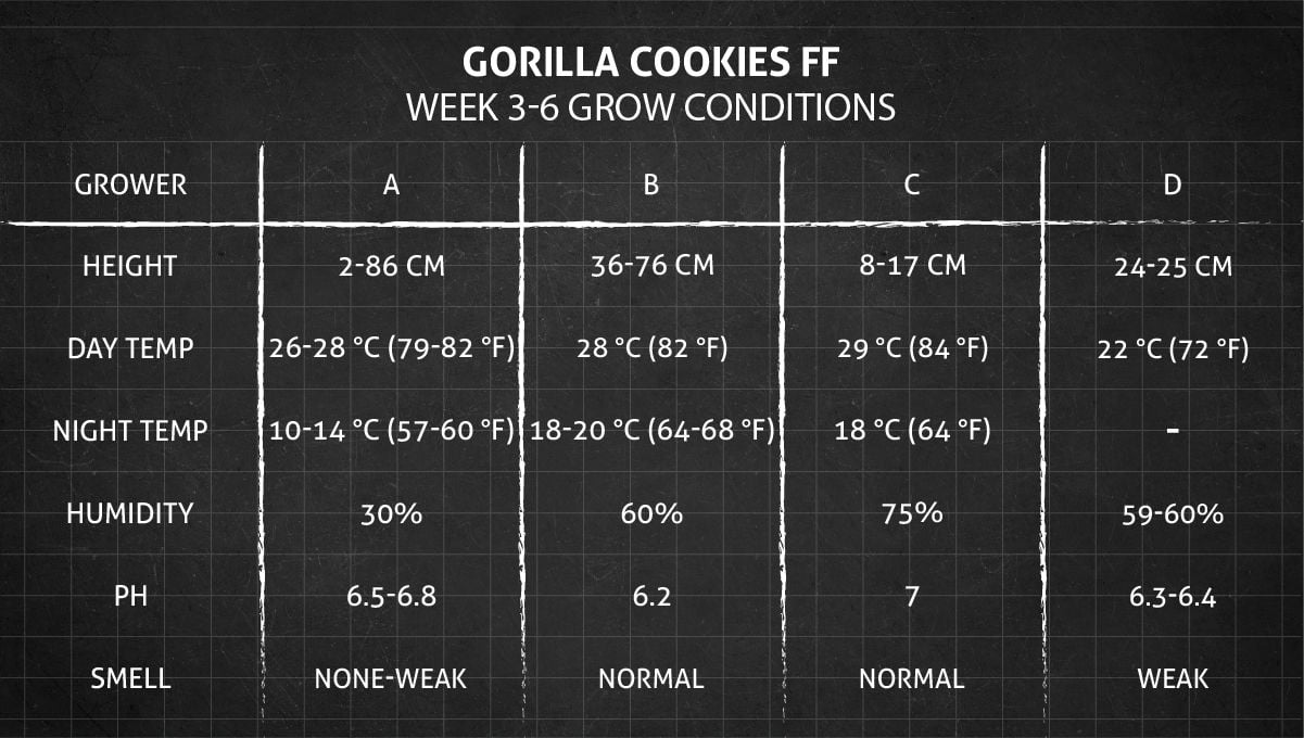 Gorilla Cookies FF cannabis strain: weeks 3-6 grow conditions