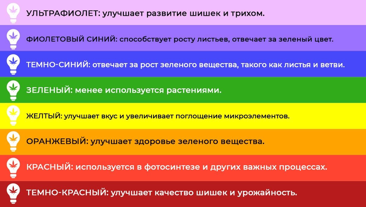 Best light spectrum for autos: light spectrum and plant growth