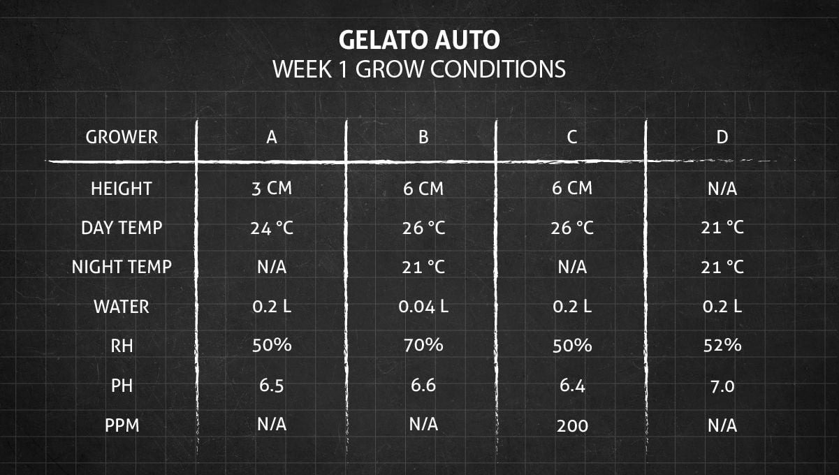 Gelato Auto Cannabis Strain Week-by-Week Guide: Grow conditions in week 1 Gelato Auto Cannabis Strain Week-by-Week Guide: Grow conditions in week 1