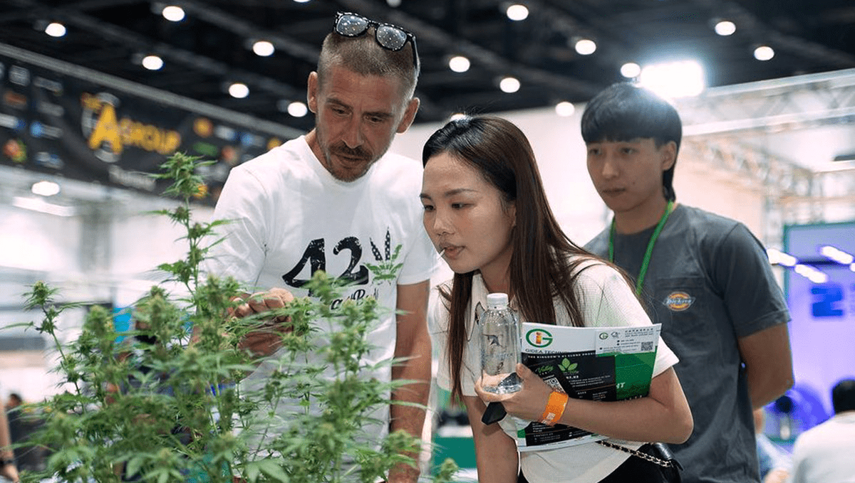 News Asia International Hemp Expo A OneofaKind Experience Fast Buds